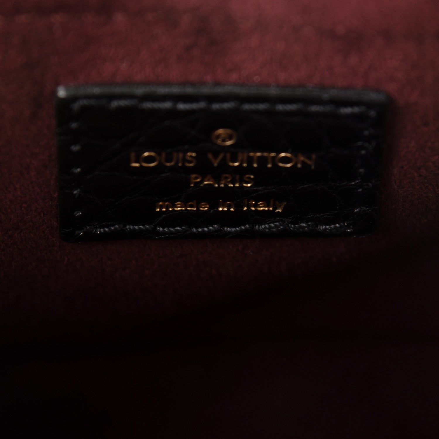 Louis Vuitton Alligator Vienna Sac Fermoir PM Black 6 of 6