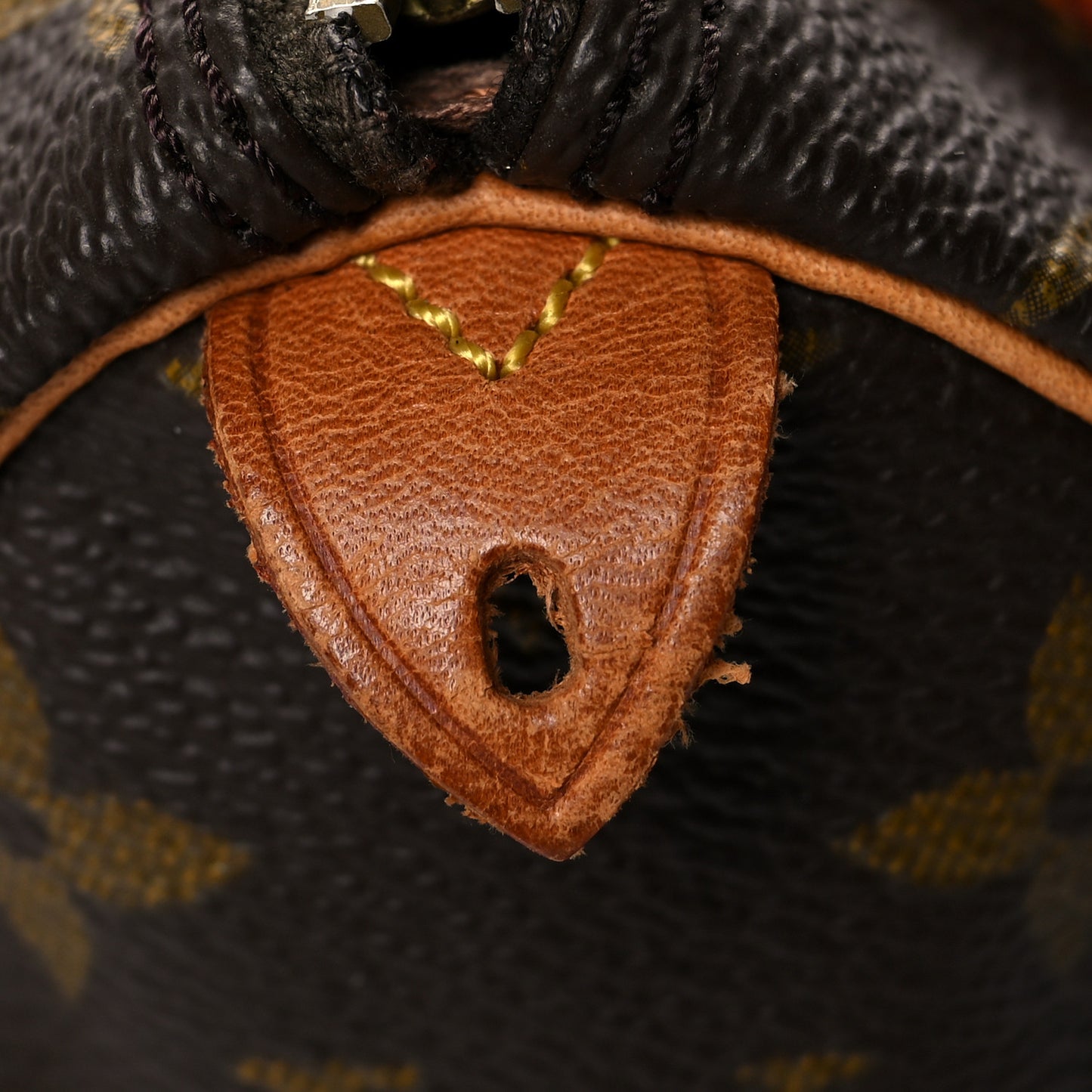 Monogram Mini Sac HL Speedy