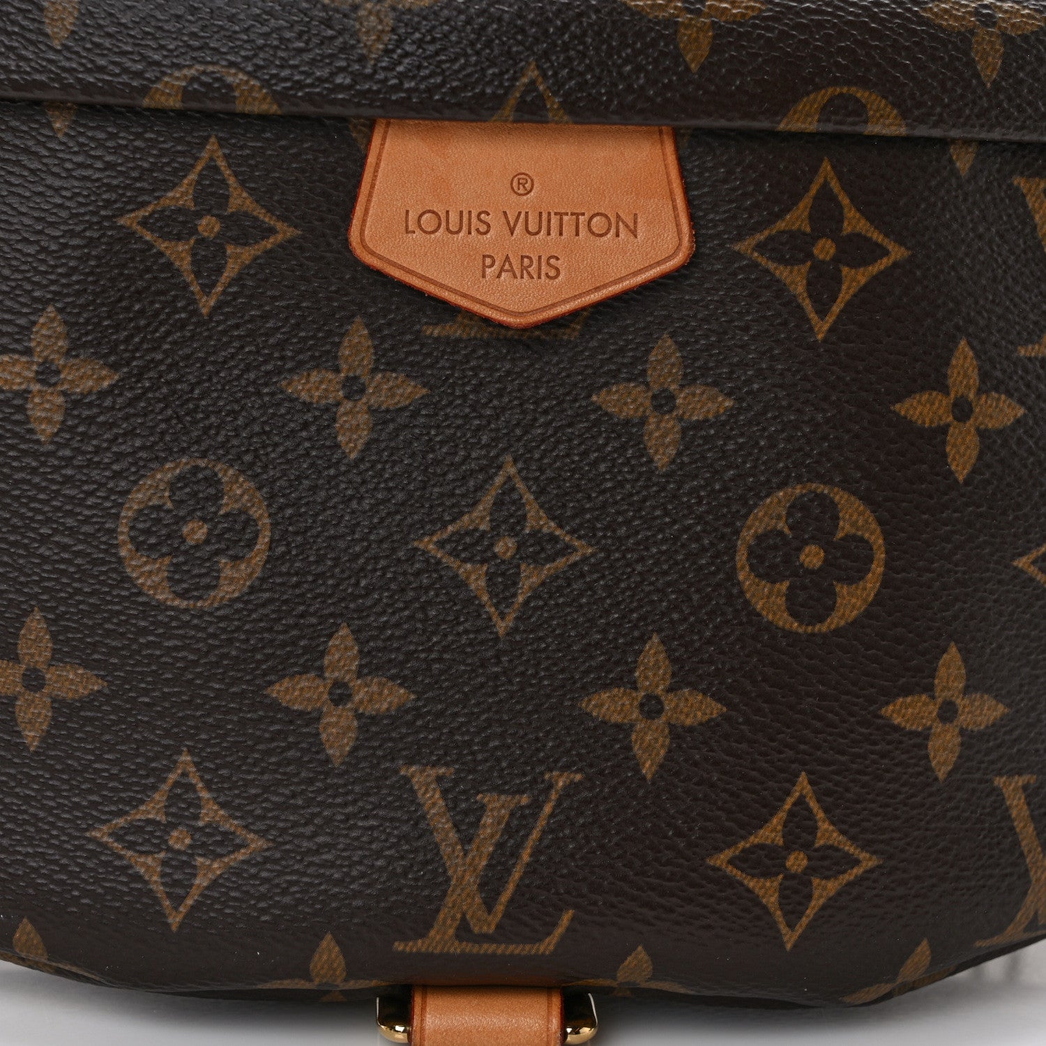 Louis Vuitton Monogram Bumbag 7 of 11
