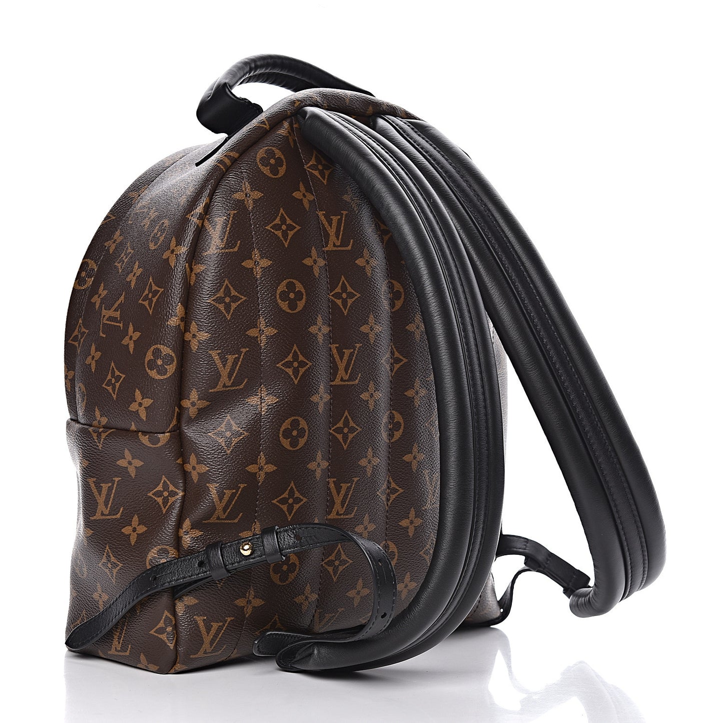 Monogram Palm Springs Backpack MM