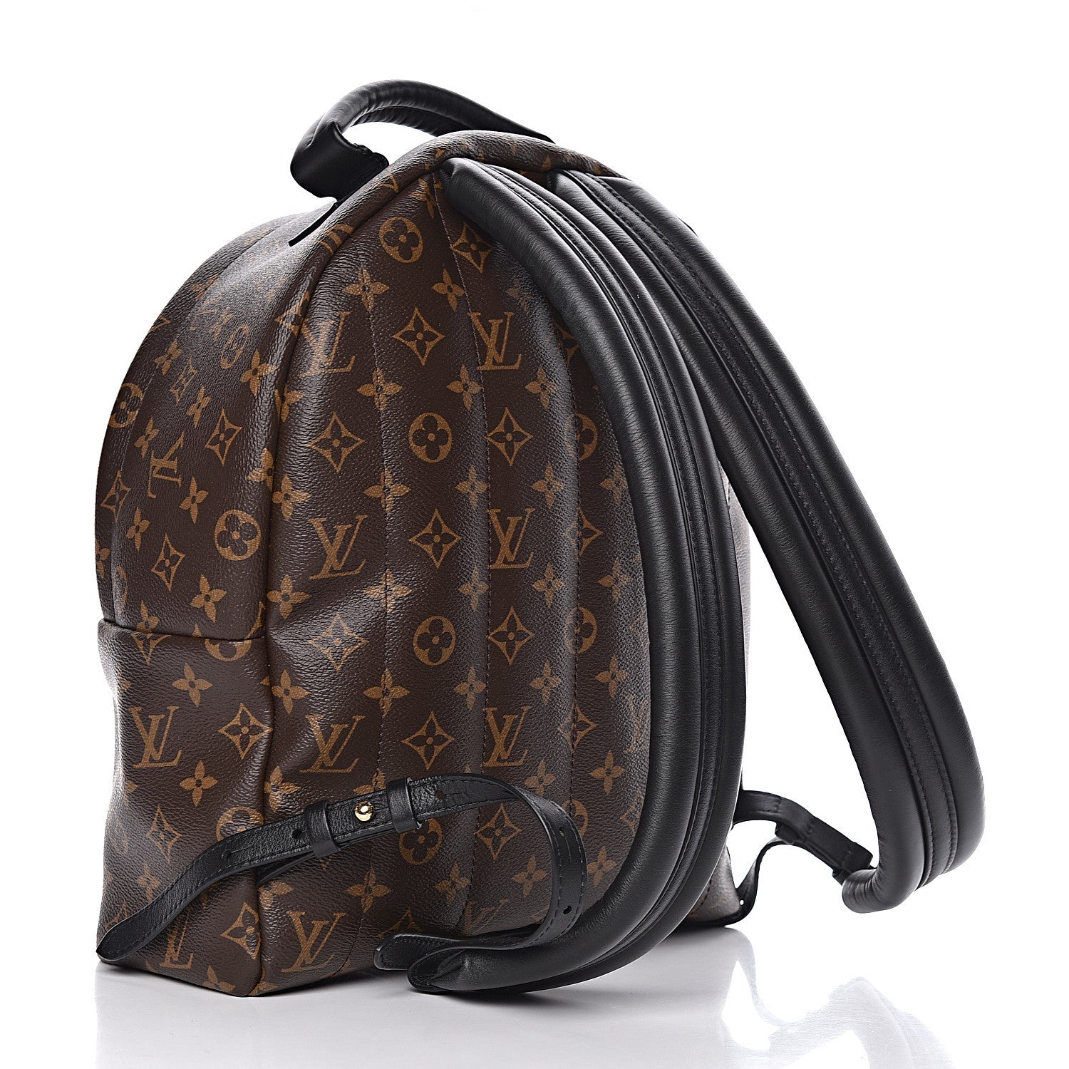 Louis Vuitton Monogram Palm Springs Backpack MM 3 of 9