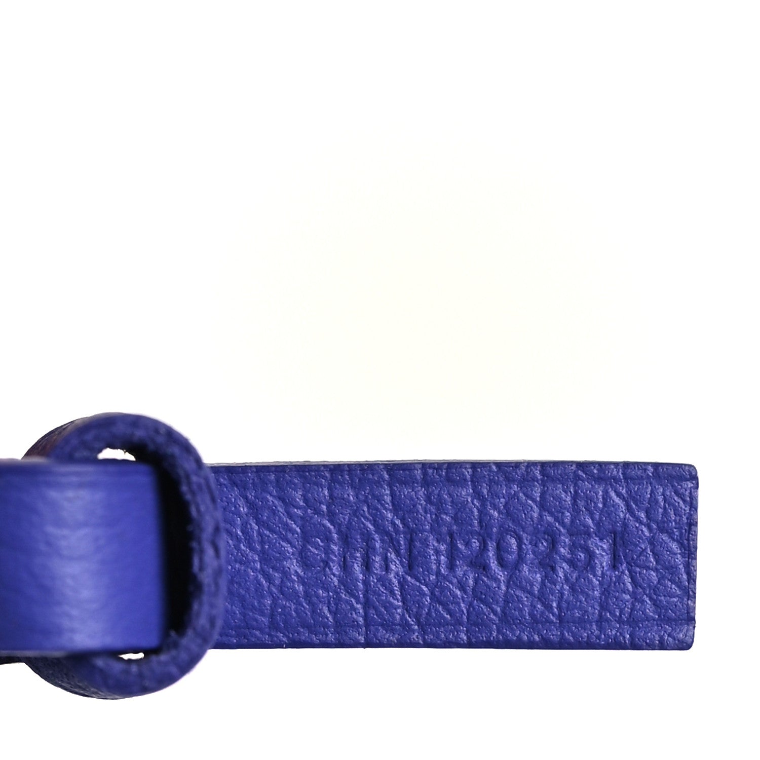 Goyard Goyardine Saint Louis PM Blueberry Purple 8 of 11