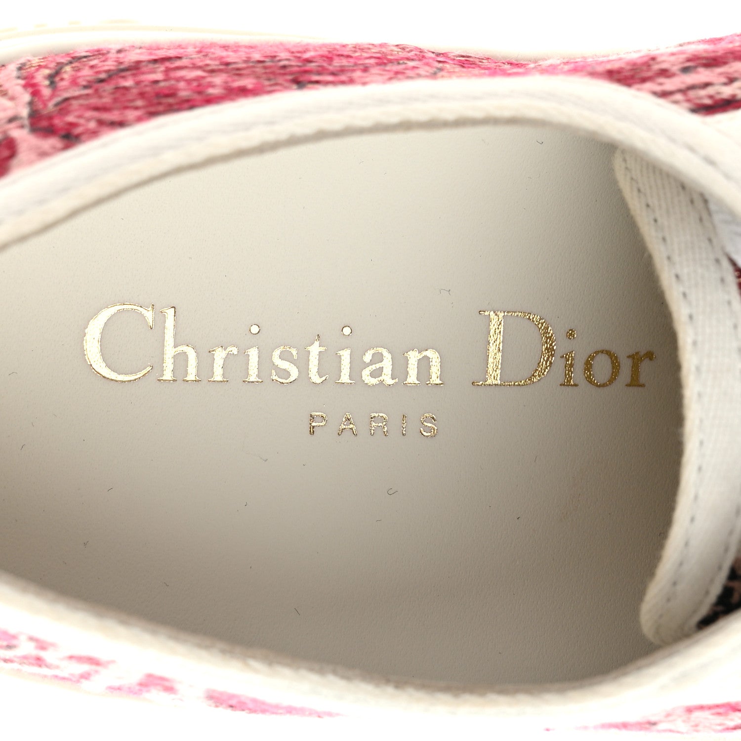 Christian Dior Denim Brocart Embroidered Walk'N'Dior Low Top