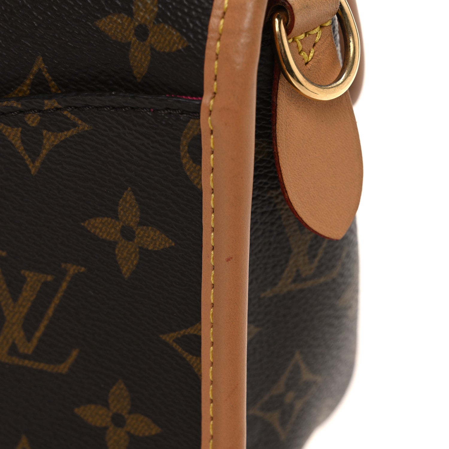 Louis Vuitton Monogram Diane Fuchsia 12 of 12