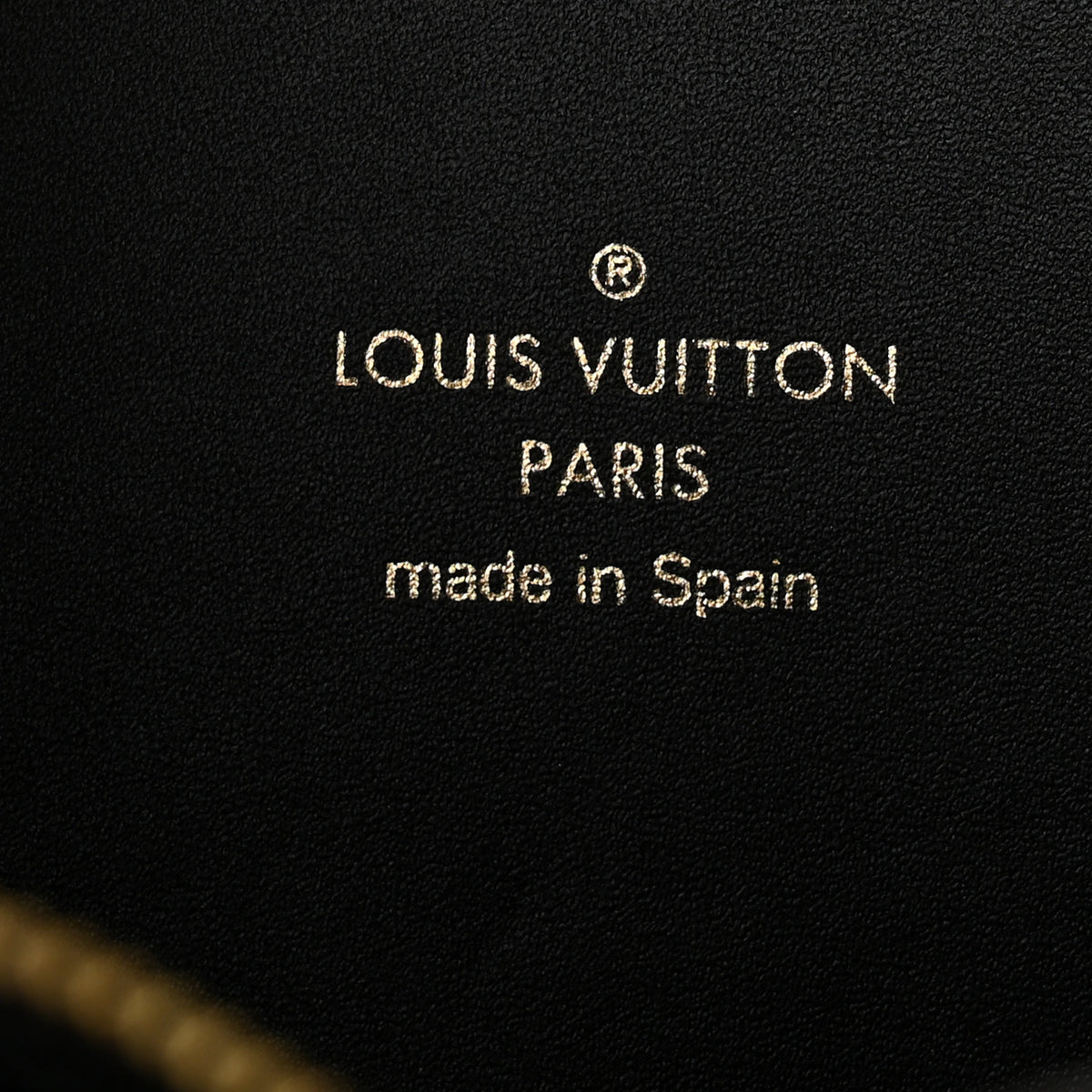 Louis Vuitton Reverse Monogram Dauphine Bumbag 5 of 8