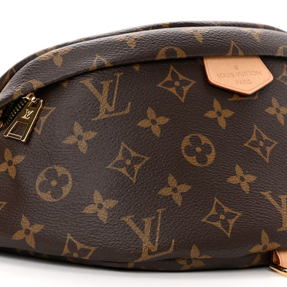 Louis Vuitton Monogram Bumbag 8 of 9
