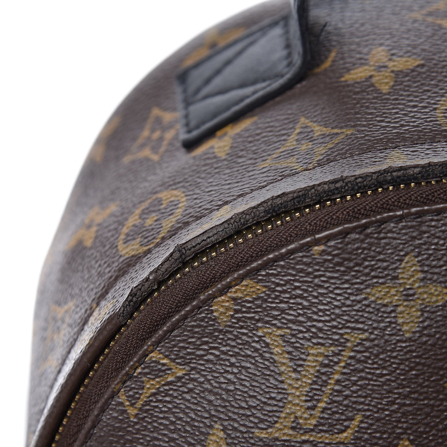 Monogram Palm Springs Backpack PM