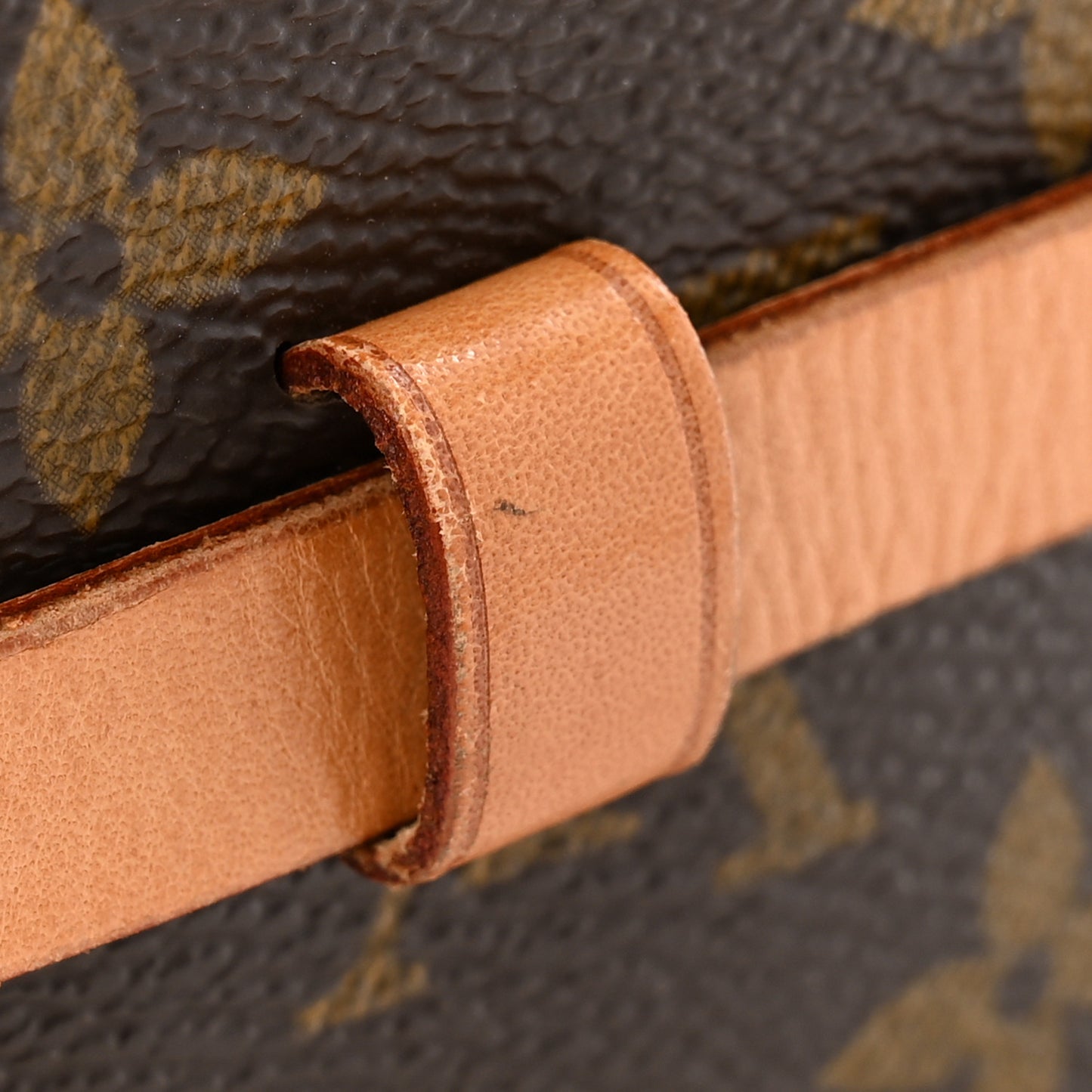 Monogram Pochette Florentine XS