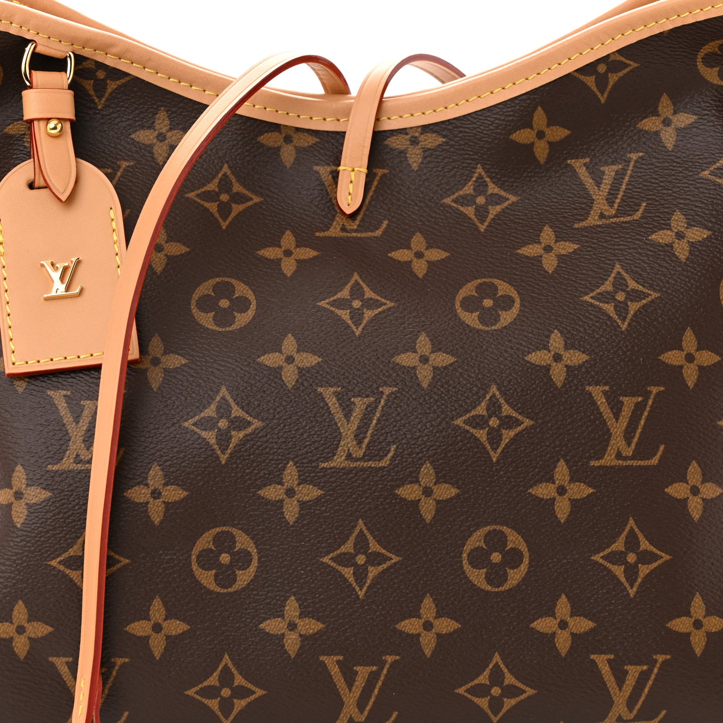 Monogram CarryAll PM