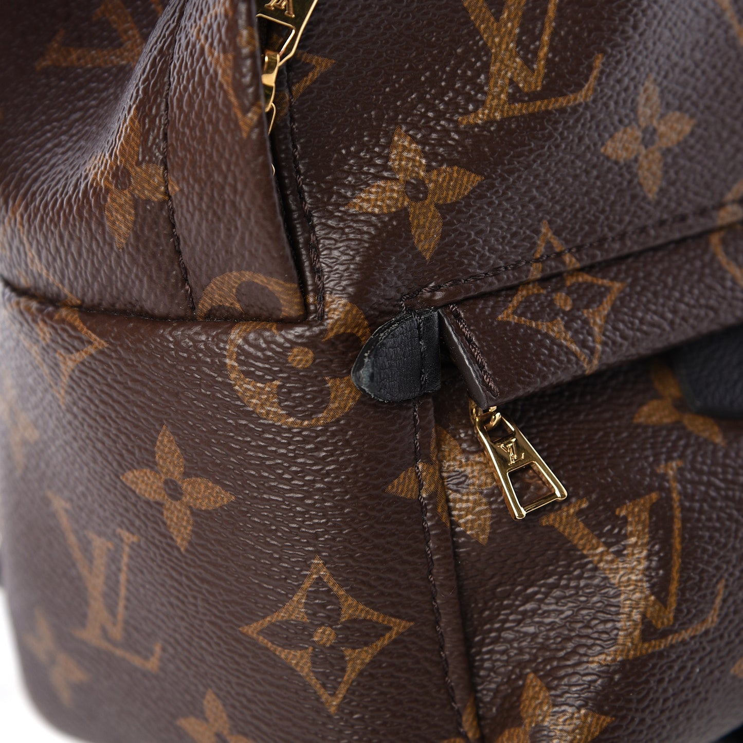 Monogram Palm Springs Backpack Mini