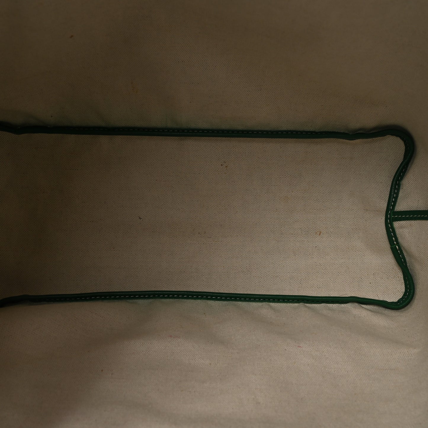 Goyardine Saint Louis PM Green