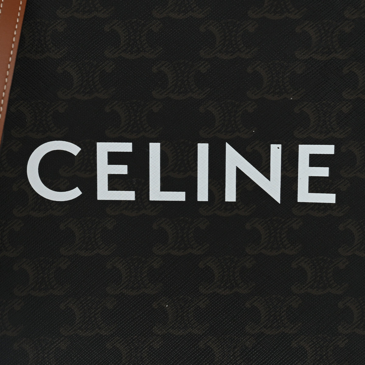 Celine Triomphe Canvas Calfskin Mini Vertical Cabas Tan 6 of 9