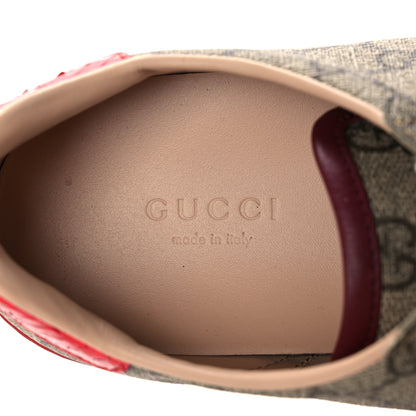 Gucci GG Supreme Monogram Ayers Mens New Ace Low-Top Sneaker 36 Beige Red 7 of 8
