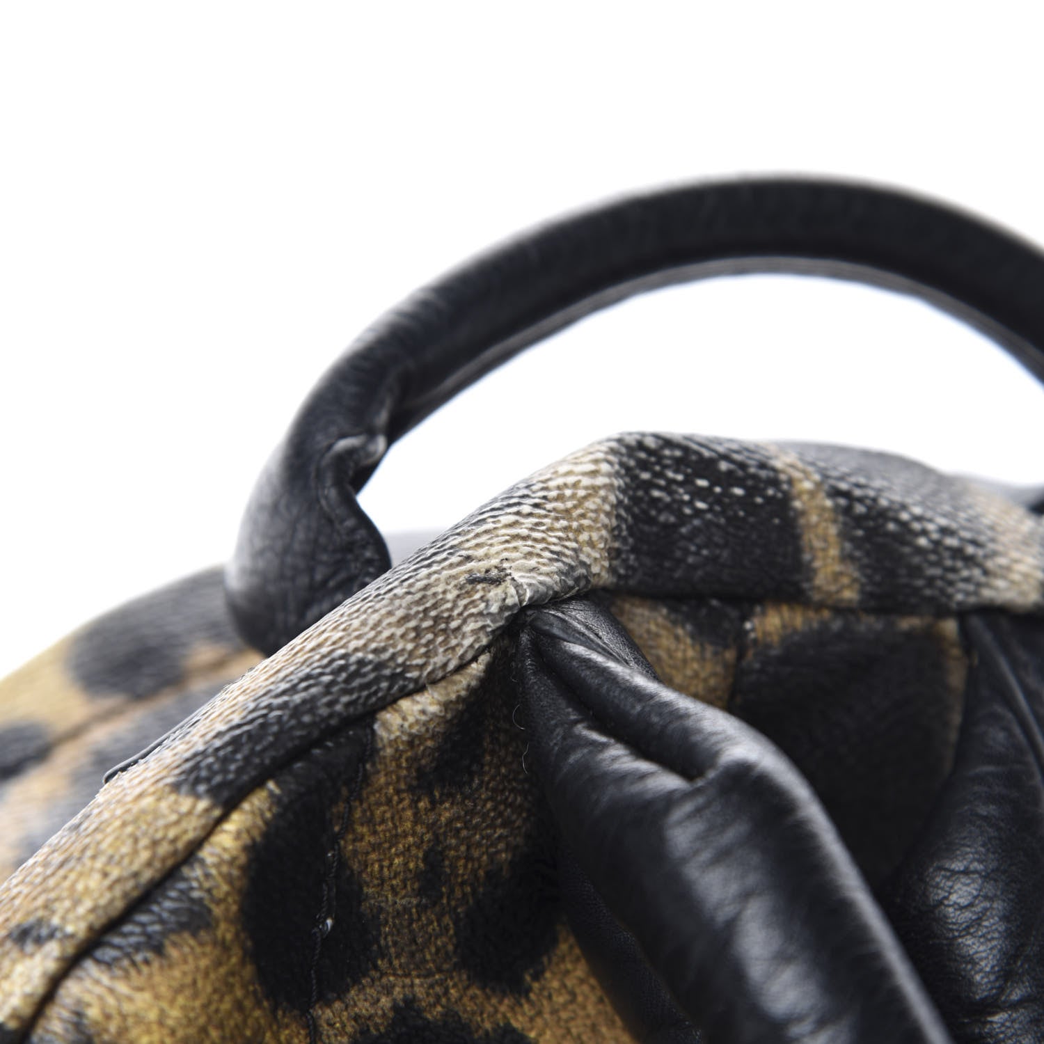 Louis Vuitton Wild Animal Print Palm Springs Backpack PM 11 of 20