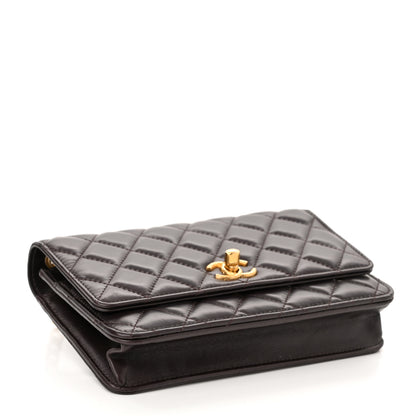 Chanel Lambskin Quilted Pillow Crush Wallet On Chain WOC Dark Brown 3 of 11