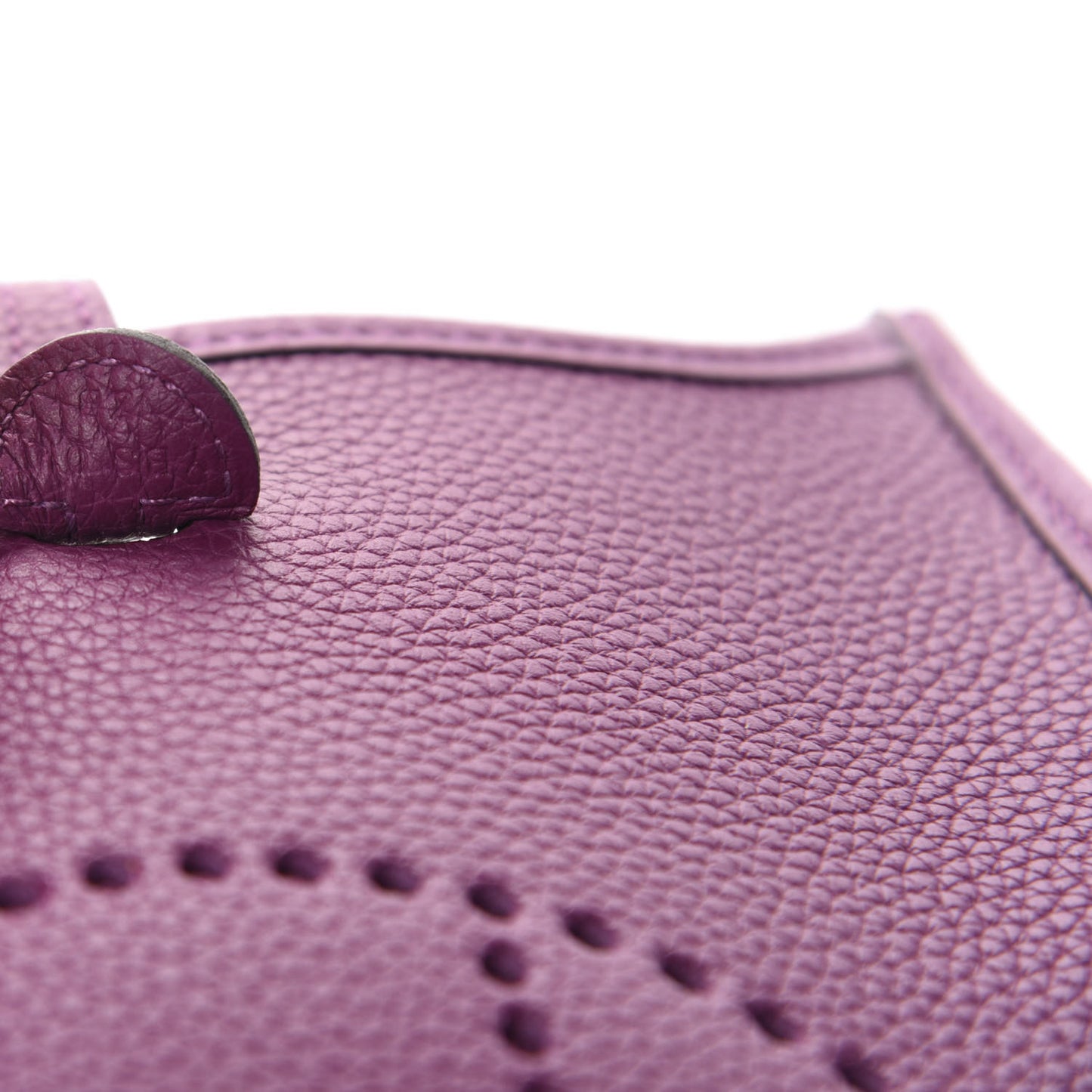 Taurillon Clemence Amazone Evelyne TPM Anemone Marine