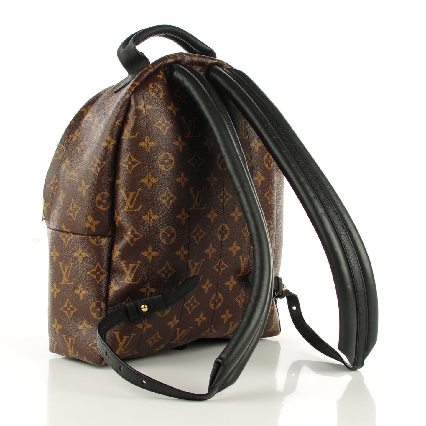 Monogram Palm Springs Backpack MM