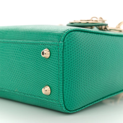 Christian Dior Lizard Mini Lady Dior Green 10 of 10