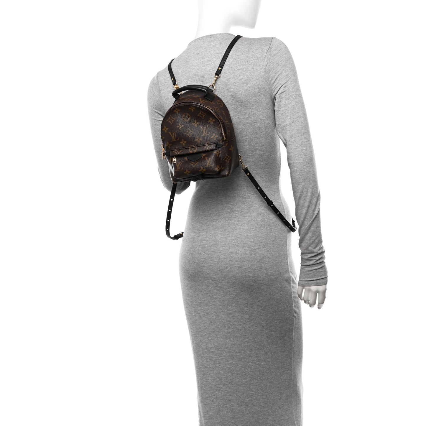 Monogram Palm Springs Backpack Mini