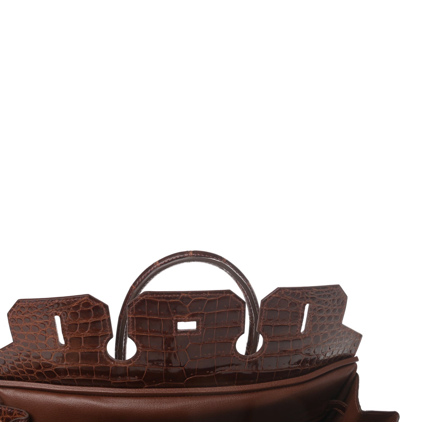 Shiny Porosus Birkin 35 Miel