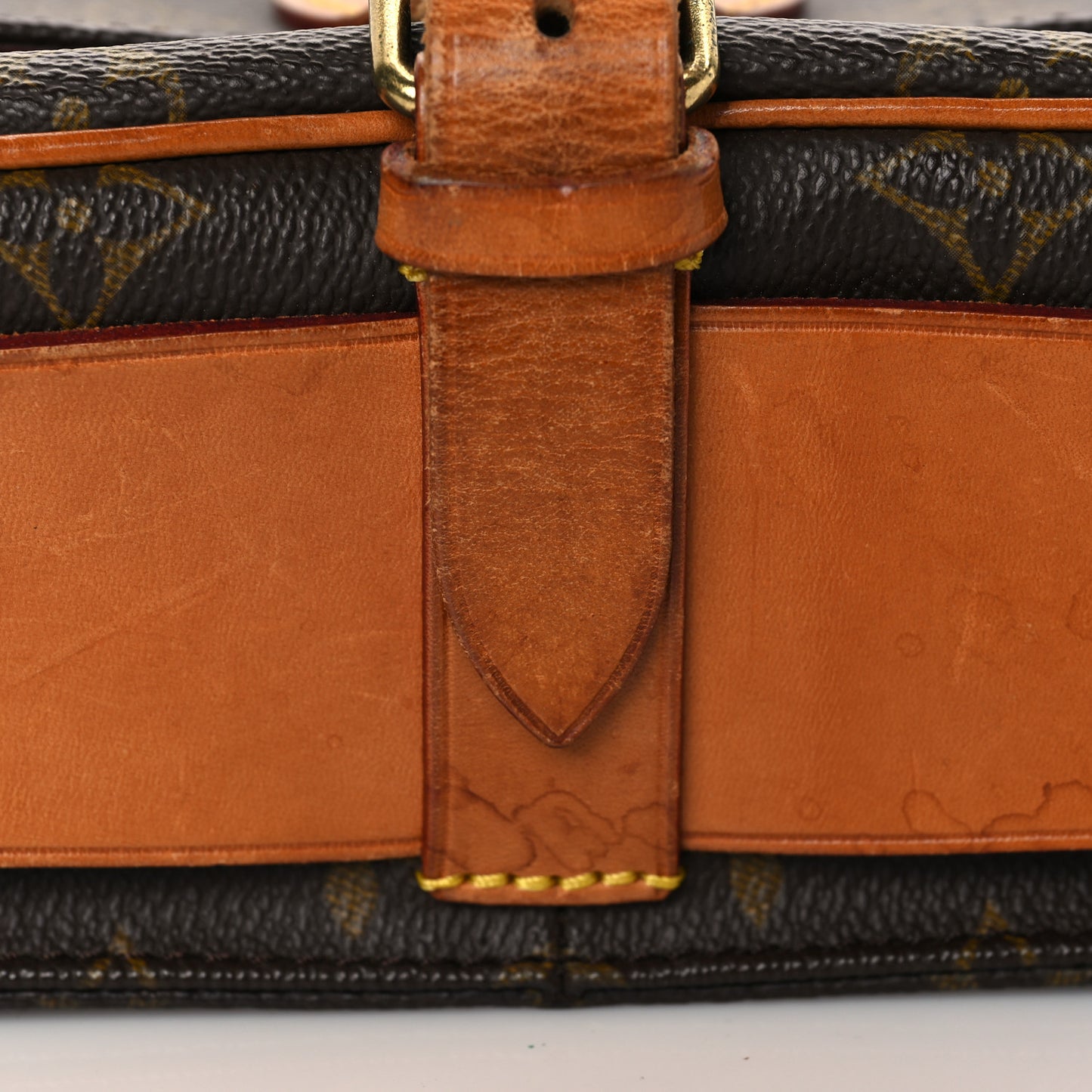 Monogram Cartouchiere 22