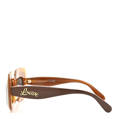 Loewe Acetate Paula's Ibiza Sunglasses LW40139U Brown Dark grey 3 of 7