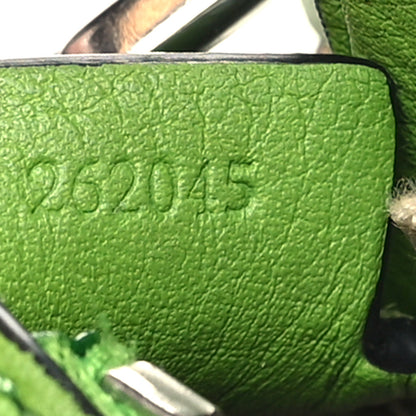 Loewe Calfskin Nano Puzzle Bag Apple Green 7 of 10