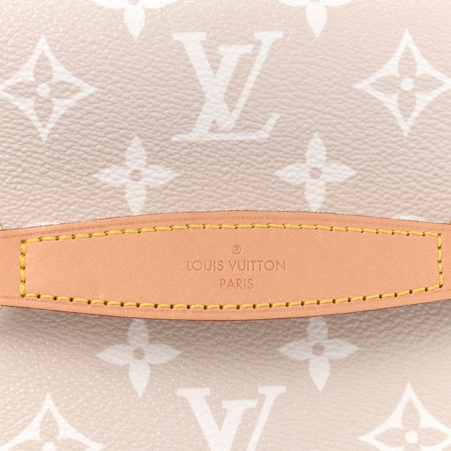 Louis Vuitton Monogram Giant By The Pool Nice BB Brume 9 of 9
