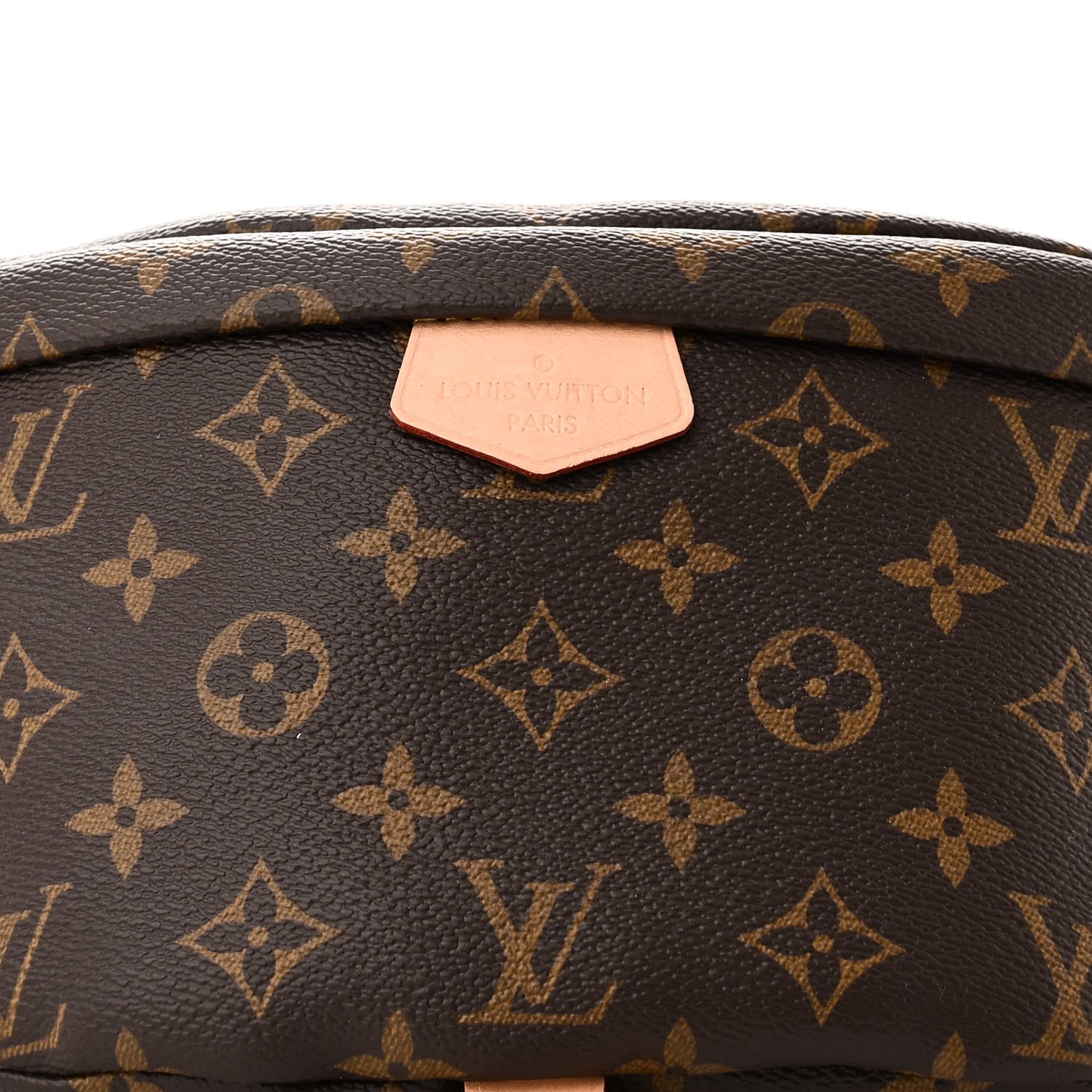 Louis Vuitton LOUIS VUITTON Monogram Bumbag 7 of 10