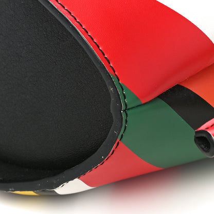 Loewe Calfskin Mini Striped Elephant Crossbody Bag Multicolor 9 of 9