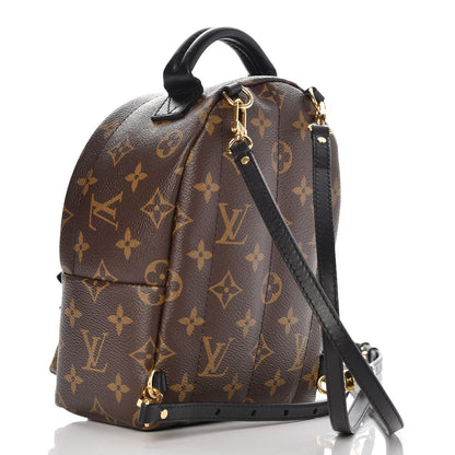 Louis Vuitton Monogram Palm Springs Backpack Mini 3 of 7