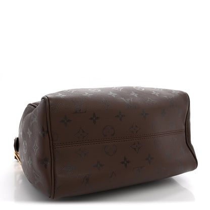 Louis Vuitton Calfskin LV Bliss Speedy Bandouliere 25 Brun 4 of 10