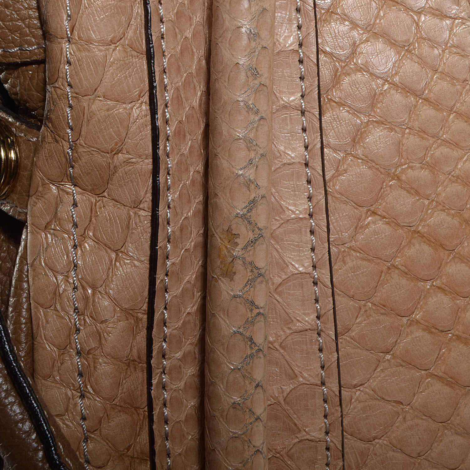 Chloe Python Large Paraty Sand 9 of 10