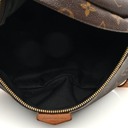 Louis Vuitton Monogram Bumbag 5 of 12