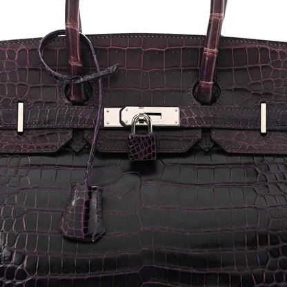 Hermes Shiny Porosus Crocodile Birkin 35 Prunoir 7 of 10