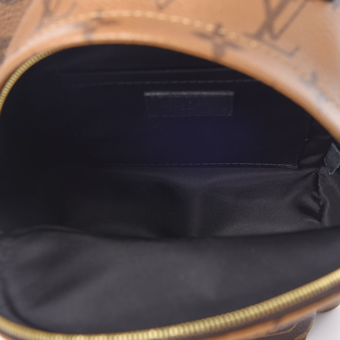 Reverse Monogram Palm Springs Backpack Mini
