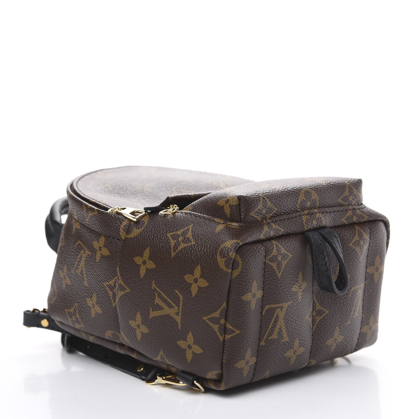 Monogram Palm Springs Backpack Mini