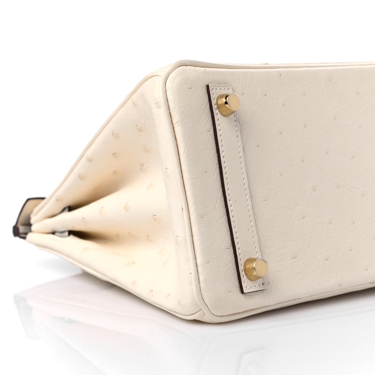 Ostrich Birkin 25 Nata