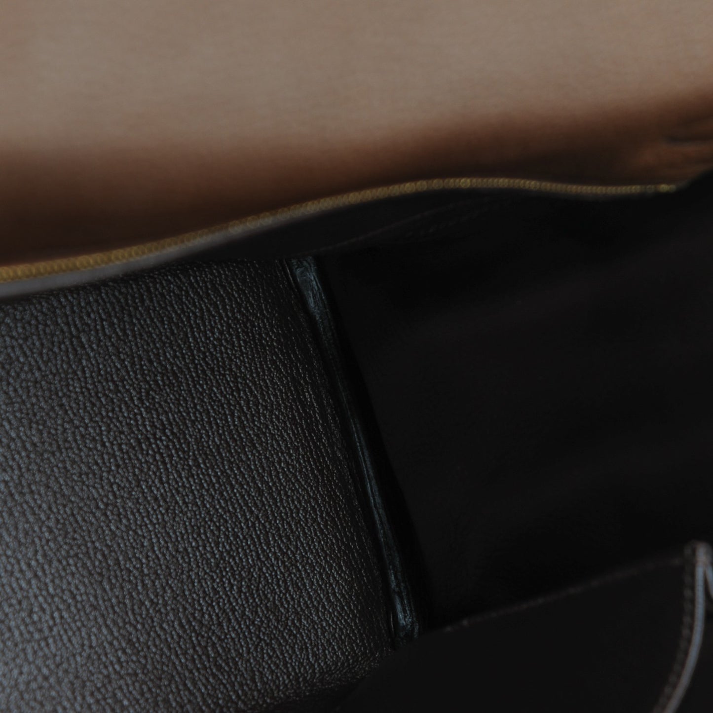 Taurillon Clemence Kelly Retourne 32 Chocolate