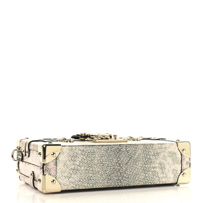 Louis Vuitton Lizard Petite Malle Silver 4 of 12