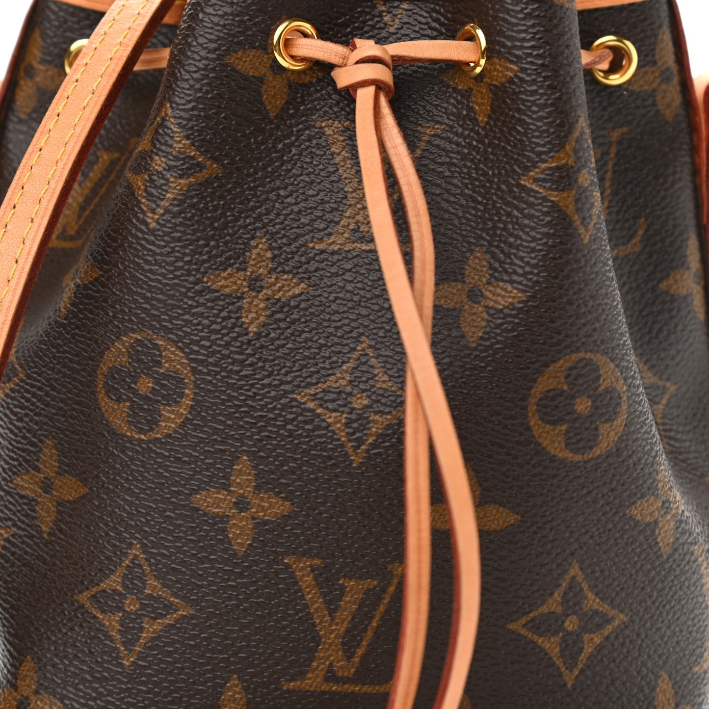 Monogram Nano Noe
