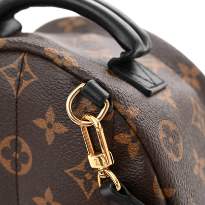 Louis Vuitton Monogram Palm Springs Backpack Mini 10 of 12