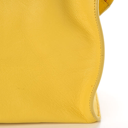 Saint Laurent Calfskin Small Classic Y Cabas Soleil 9 of 16