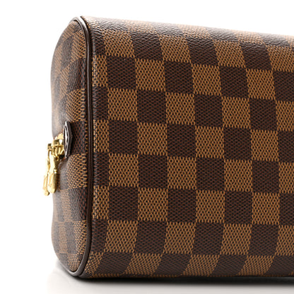Louis Vuitton Damier Ebene Ribera Mini 8 of 9