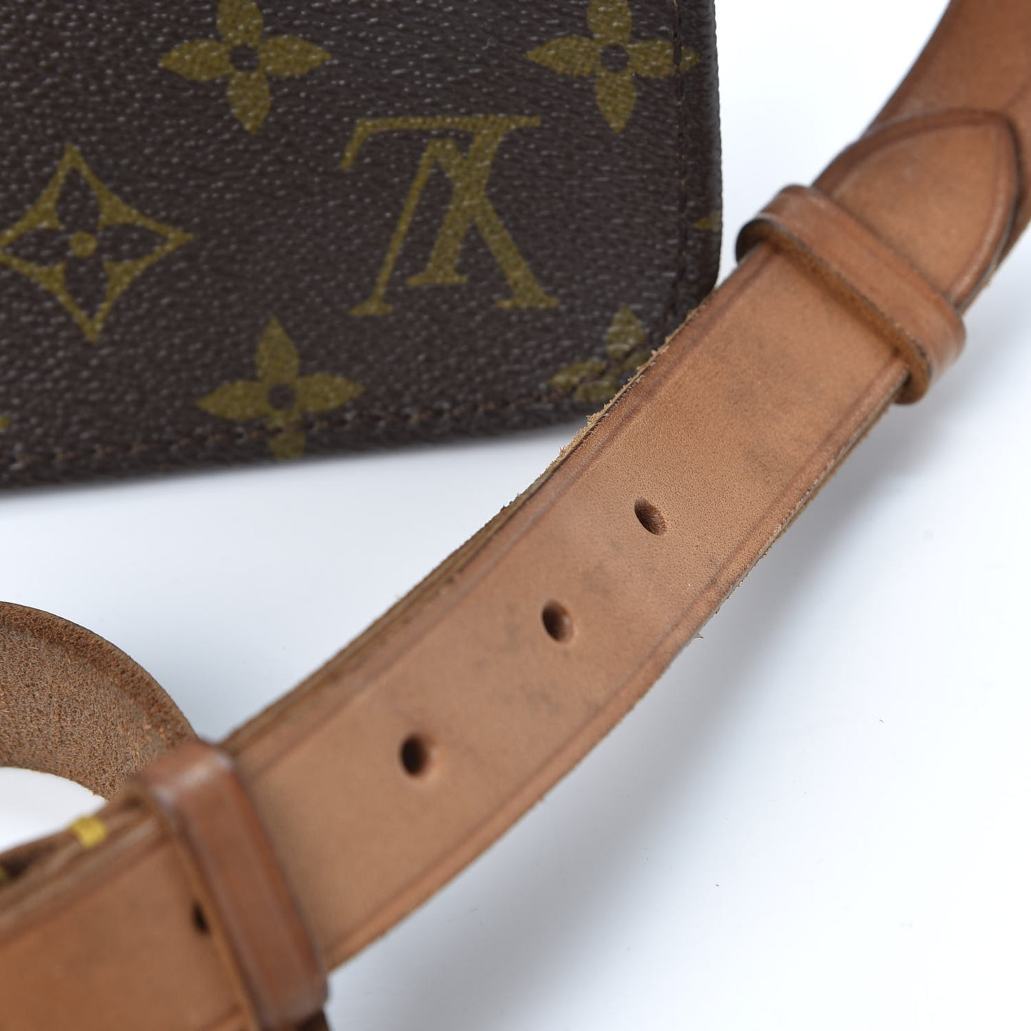 Monogram Cartouchiere 22