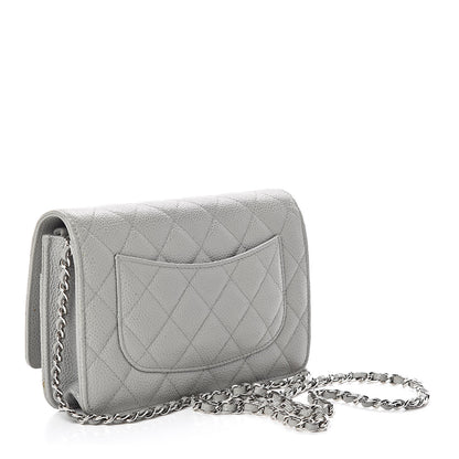 Chanel Caviar Quilted Wallet on Chain WOC Grey 3 of 11