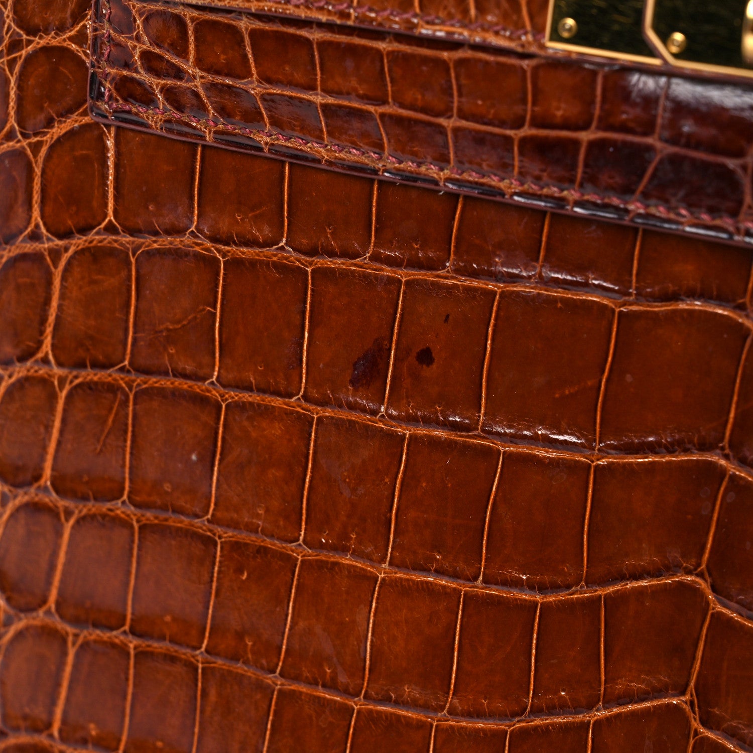 Hermes Shiny Niloticus Crocodile Kelly Sellier 28 Miel 30 of 34