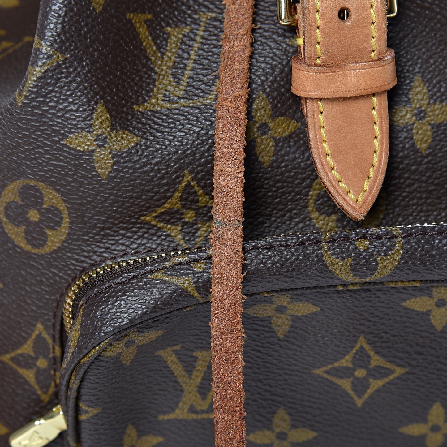 Monogram Montsouris MM Backpack
