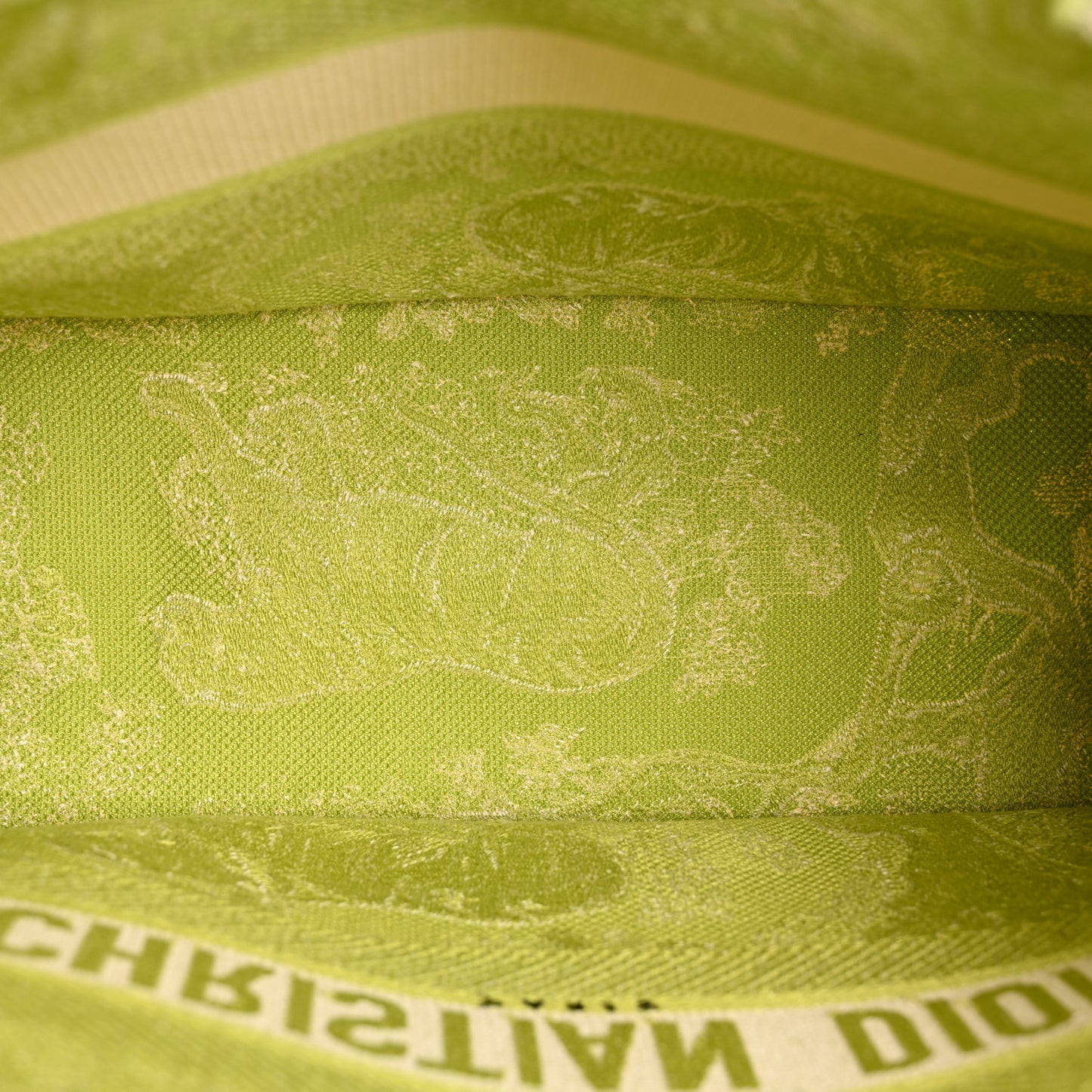 Canvas Embroidered Medium Dioriviera Toile De Jouy Book Tote D-Lite Green