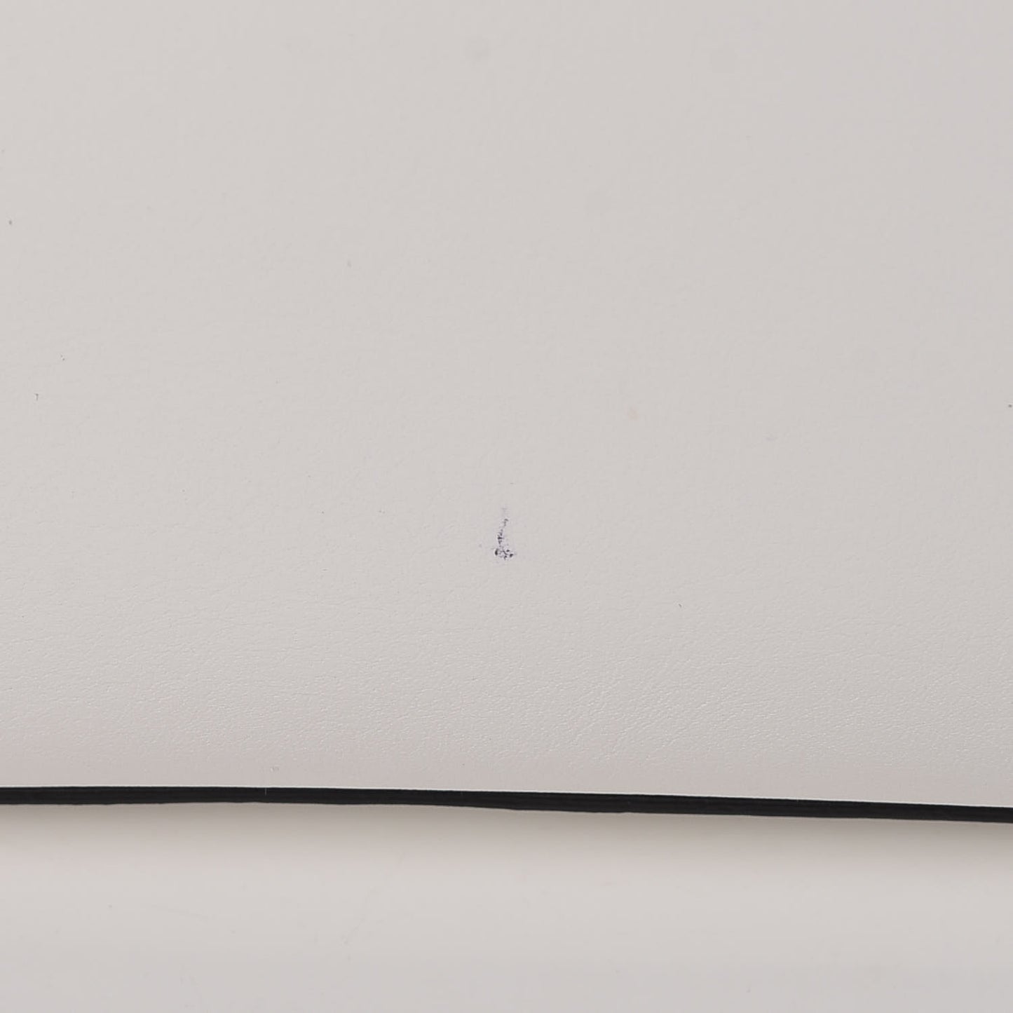 Satin Calfskin Mini Bi-Color Luggage White Black